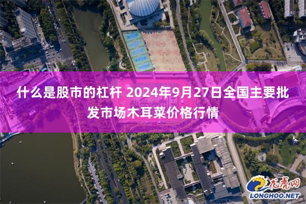 什么是股市的杠杆 2024年9月27日全国主要批发市场木耳菜价格行情