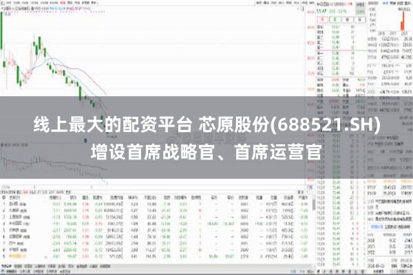 线上最大的配资平台 芯原股份(688521.SH)增设首席战略官、首席运营官