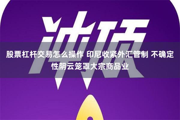 股票杠杆交易怎么操作 印尼收紧外汇管制 不确定性阴云笼罩大宗商品业