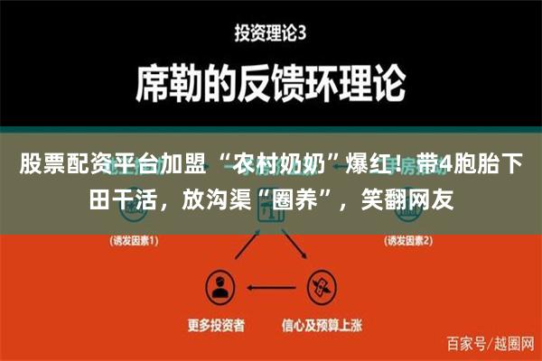 股票配资平台加盟 “农村奶奶”爆红！带4胞胎下田干活，放沟渠“圈养”，笑翻网友