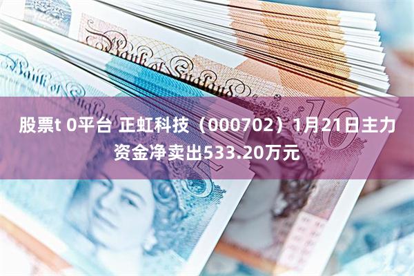 股票t 0平台 正虹科技（000702）1月21日主力资金净卖出533.20万元